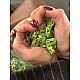 İki Delikli Metal Stoper 4,5 mm Delik Çaplı Fıstık Yeşili Estetik Model - Zamak Stoper CGT0001PROMO