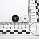 20.7 mm - 32 L Bull Head Logo Shank Button E 2245 MN