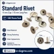 Standart Rivet 11 mm Kapak 15 mm Uzun Bacak Saç Malzeme Perçin - 500 Adet, kalın deri, çanta, kemer, kanvas ve teknik