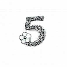 Number 5 Sterling Silver Color Brooch BRS0018