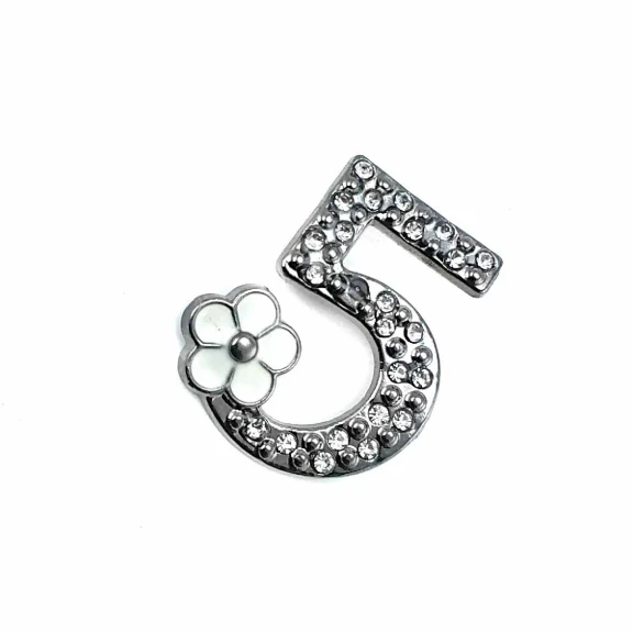 5 Numara Taşlı ve Şık Gümüş Renk Broş BRS0018