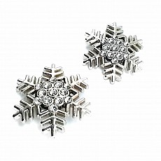 Snowflake Model Silver Color Metal Brooch BRS0038