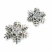 Snowflake Model Silver Color Metal Brooch BRS0038