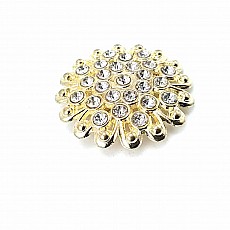 Aesthetic and Stone Gold Color Metal Brooch BRS0042