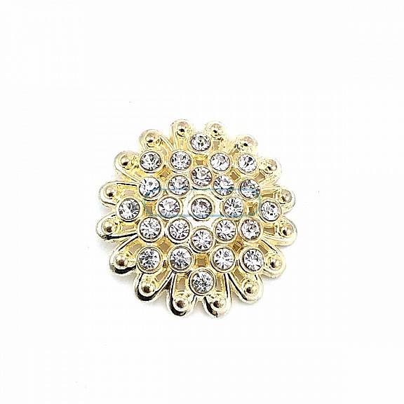 Aesthetic and Stone Gold Color Metal Brooch BRS0042