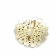 Aesthetic and Stone Gold Color Metal Brooch BRS0042