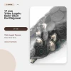 17 mm / 0.669 in Star Logo Copper-Oxide Jeans Button Pack of 100 DK00017YLDPPROMO