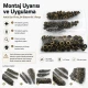 Antik Sarı Renk Pirinç 54 Sistem Alt 3 Parça 100 Adet/Paket, siyah oksit pirinç malzeme ile üretilmiş, çanta, mont ve