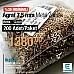 Agraf 7,5 mm Metal Zamak Promo Paket 200 Adet Gold Renk E 1762PROMO