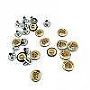 Kalp tasarımlı ve simli Saç Rivet 10 mm 16 boy R0019