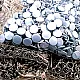 Baby Snap Fastener with Cover 9.5mm - 3/8" Pastel Blue Painted Stainless 250 Pcs/Pack C0014PromoPBlue