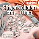 Sütyen Aksesuarları 10 mm Askı Ayar Tokası Kancası ve Halkası 250 Ad/Paket CGT003T10Promo
